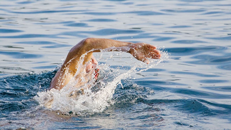 Swimming Build Muscle Or Burn Fat