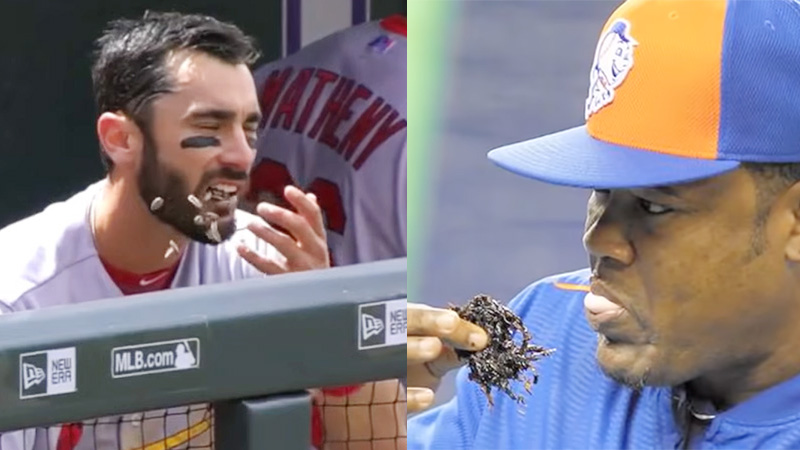 Chewing Sunflower Seeds Vs. Tobacco in Baseball