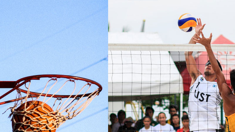 Volleyball Vs Basketball