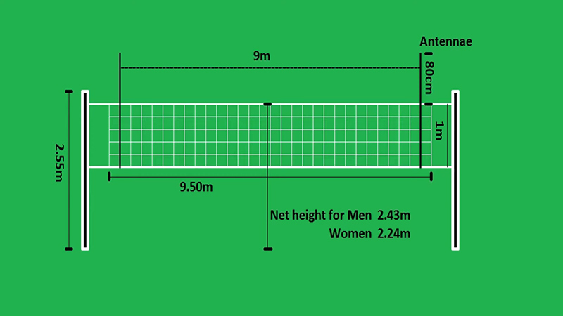 volleyball net dimensions