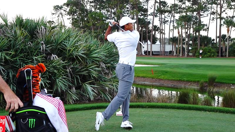 Tiger Woods Swing