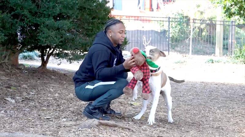 Ozzie Albies Have A Dog