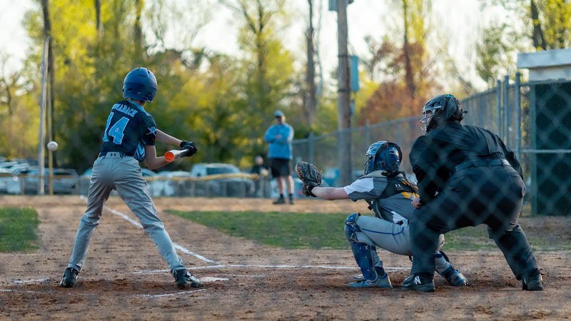 Rules on Batter Steps on Home Plate