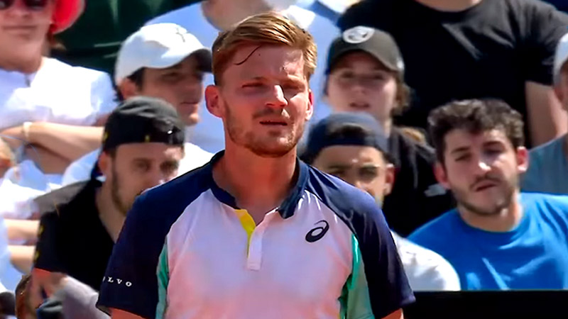 Is David Goffin seeded at Wimbledon