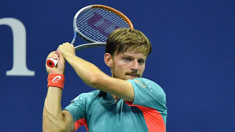 What Happened to David Goffin