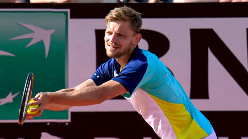 what nationality is david goffin