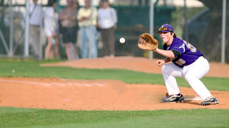 Components of DRS in Baseball