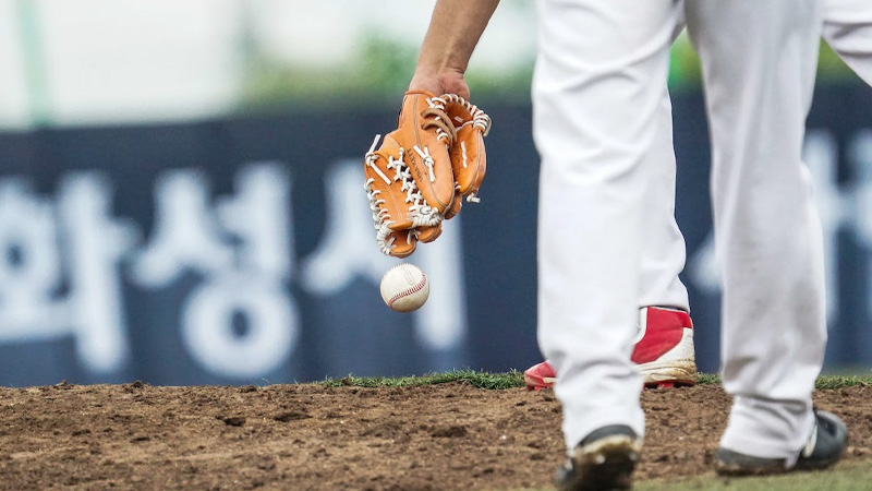 DRS in a Baseball Game