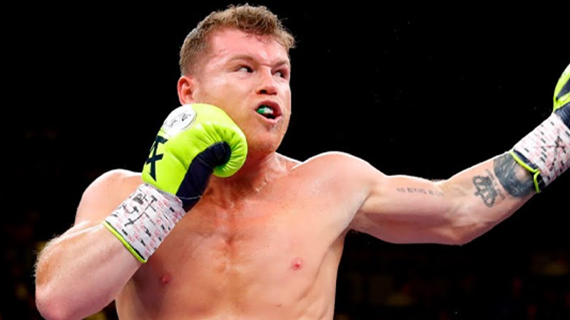 Is Canelo Alvarez Retired