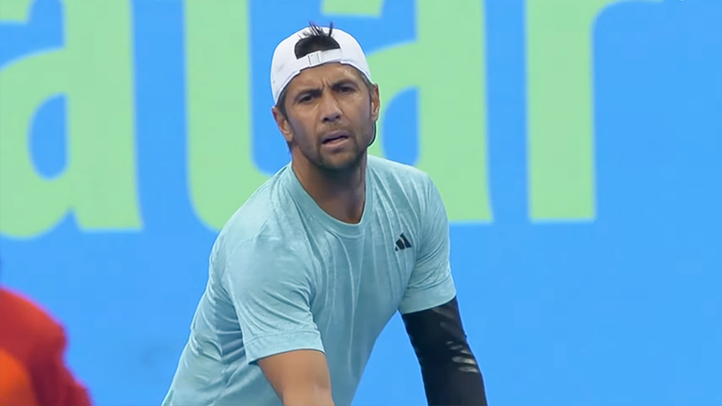 What Is Fernando Verdasco Nationality