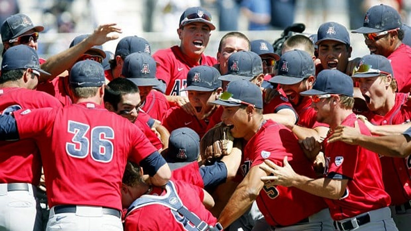 Arizona Diamondbacks Team History