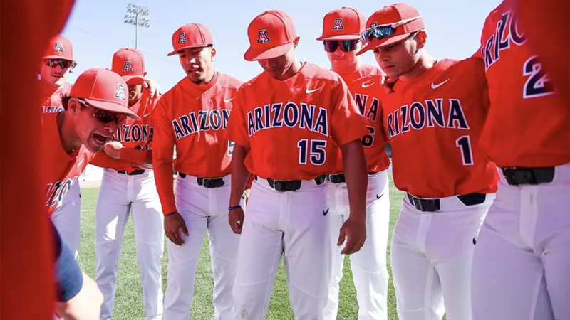 Why Is the Arizona Baseball Team Called the Diamondbacks