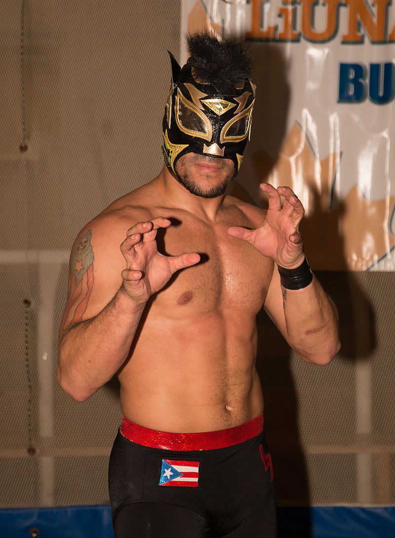 Lince_Dorado__43