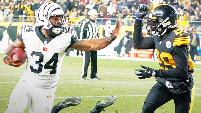Cincinnati Bengals vs Pittsburgh Steelers