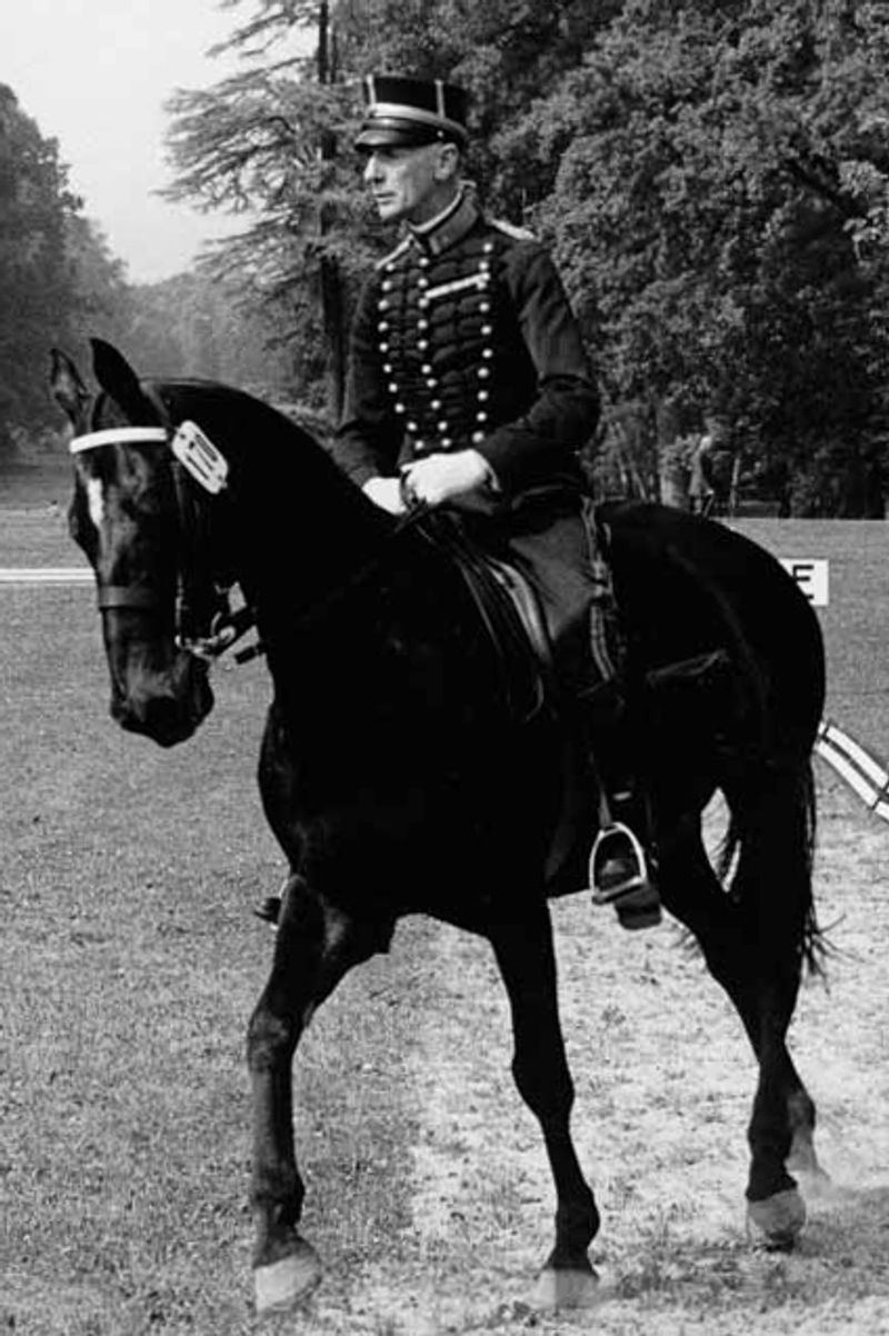 Top 47 Greatest Olympic Players in Sweden of All Time Metro League