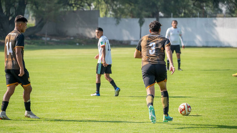 Basic Rules of Soccer Defined