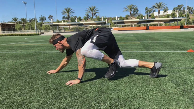 Bear Crawls