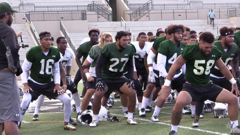 Hawaii Rainbow Warriors