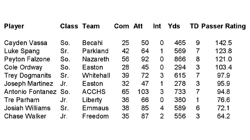 How to Calculate the Passer Rate in Football