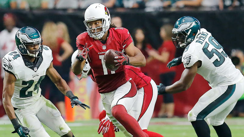 Larry Fitzgerald Jr 