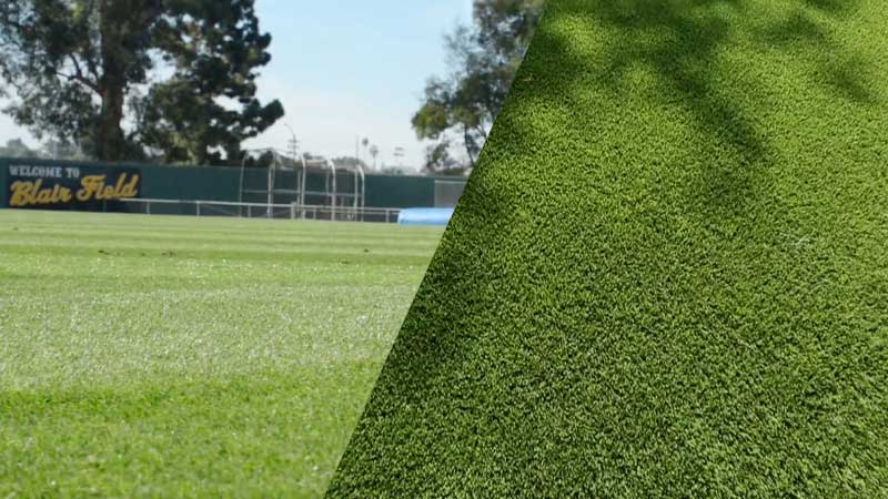 NFL Grass Vs Artificial Turf