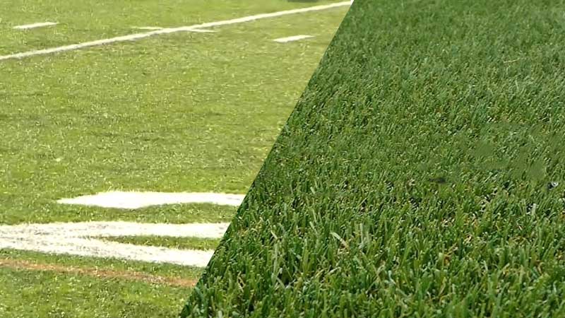 NFL Grass and Artificial Turf