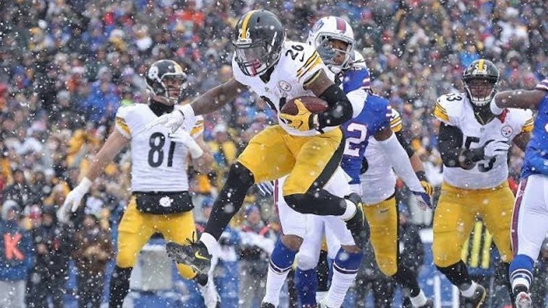 Pittsburgh Steelers, 2010
