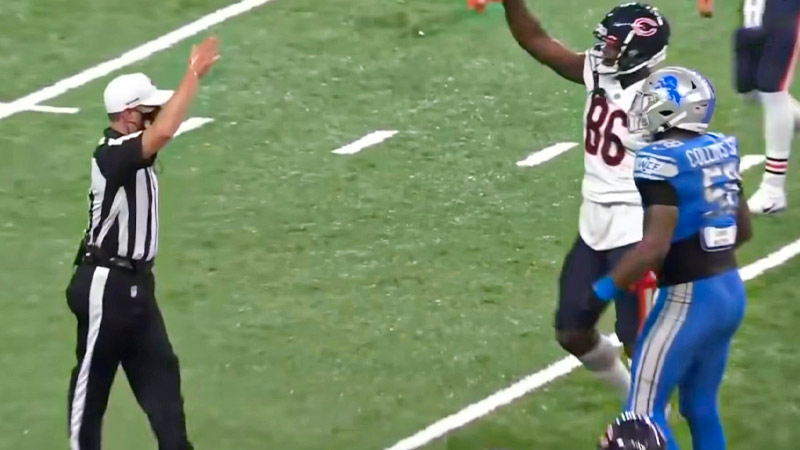 Verbal/Non-Physical Offense Against Official