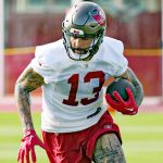 Much Is Mike Evans Worth