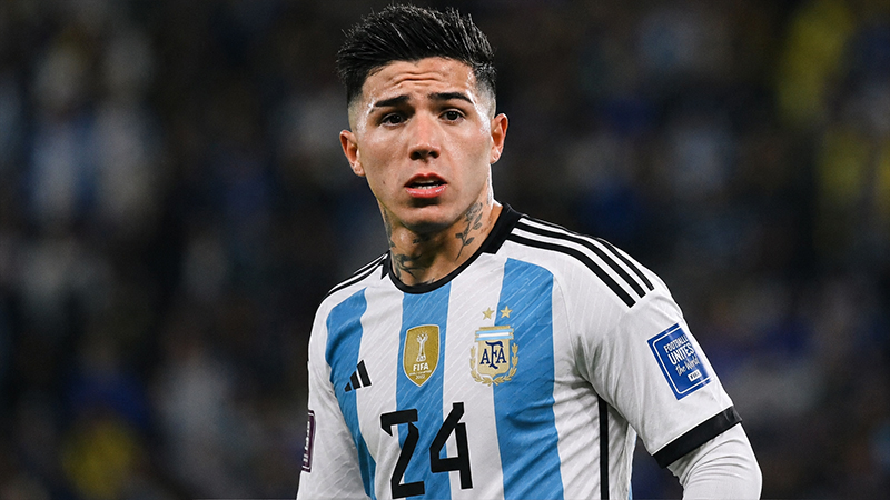 Enzo Fernandez Earnings and Net Worth Breakdown