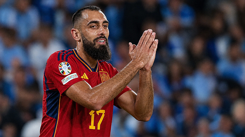 What Is Borja Iglesias’ Nationality