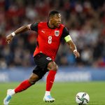 David Alaba Ethnicity