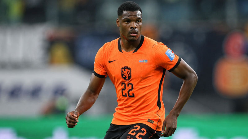 Denzel Dumfries Nationality