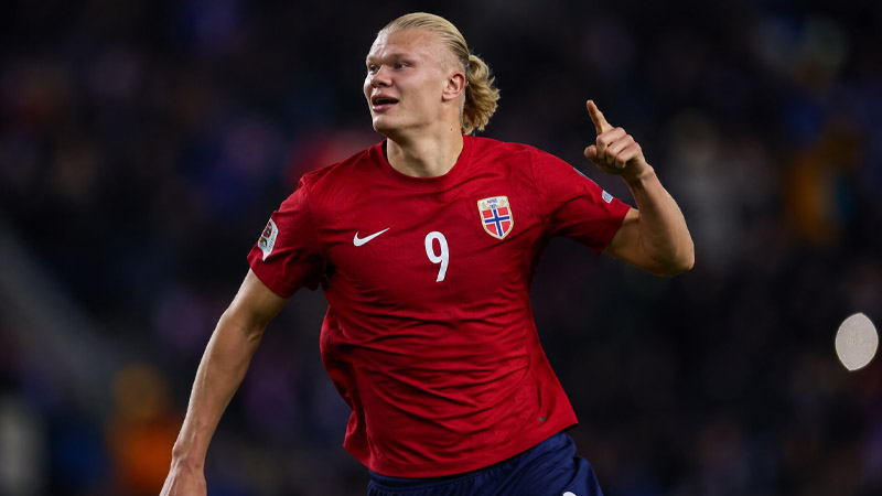 Erling Haaland Stats