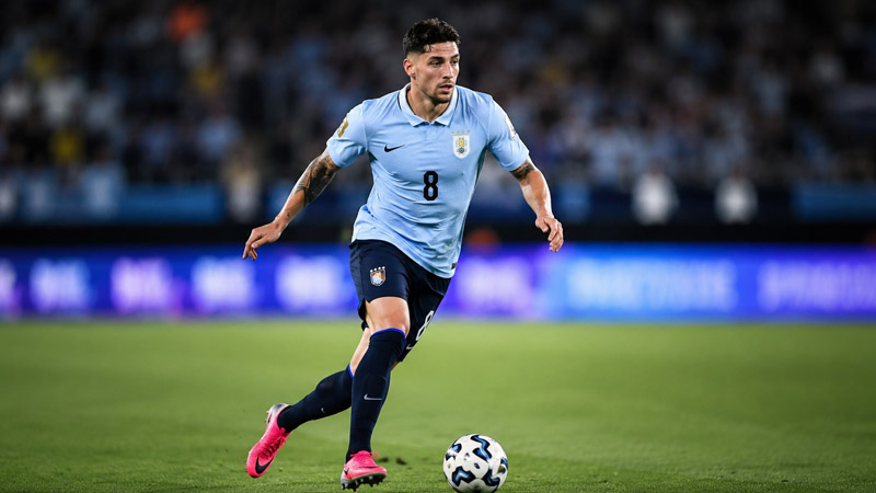 Federico Valverde Net Worth