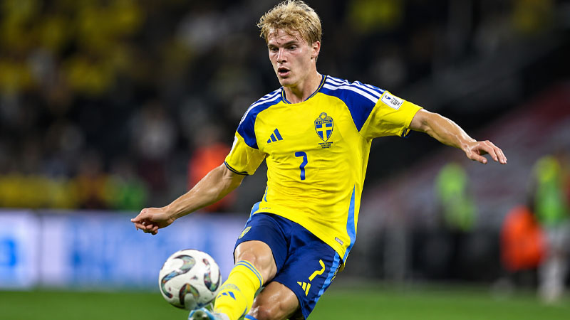 Lucas Bergvall Stats